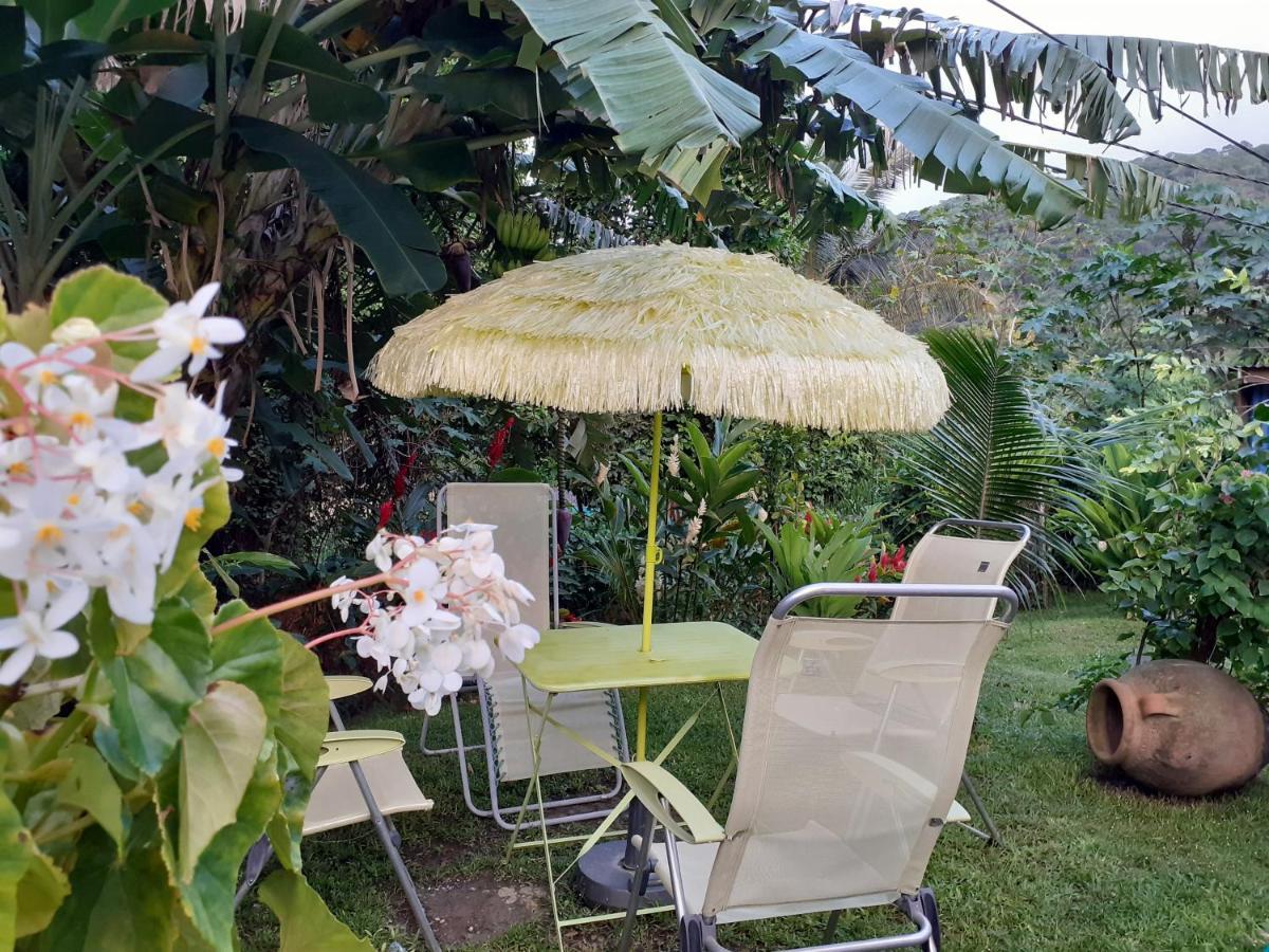 Bed and Breakfast Terrasse Du Piton Deshaies Esterno foto